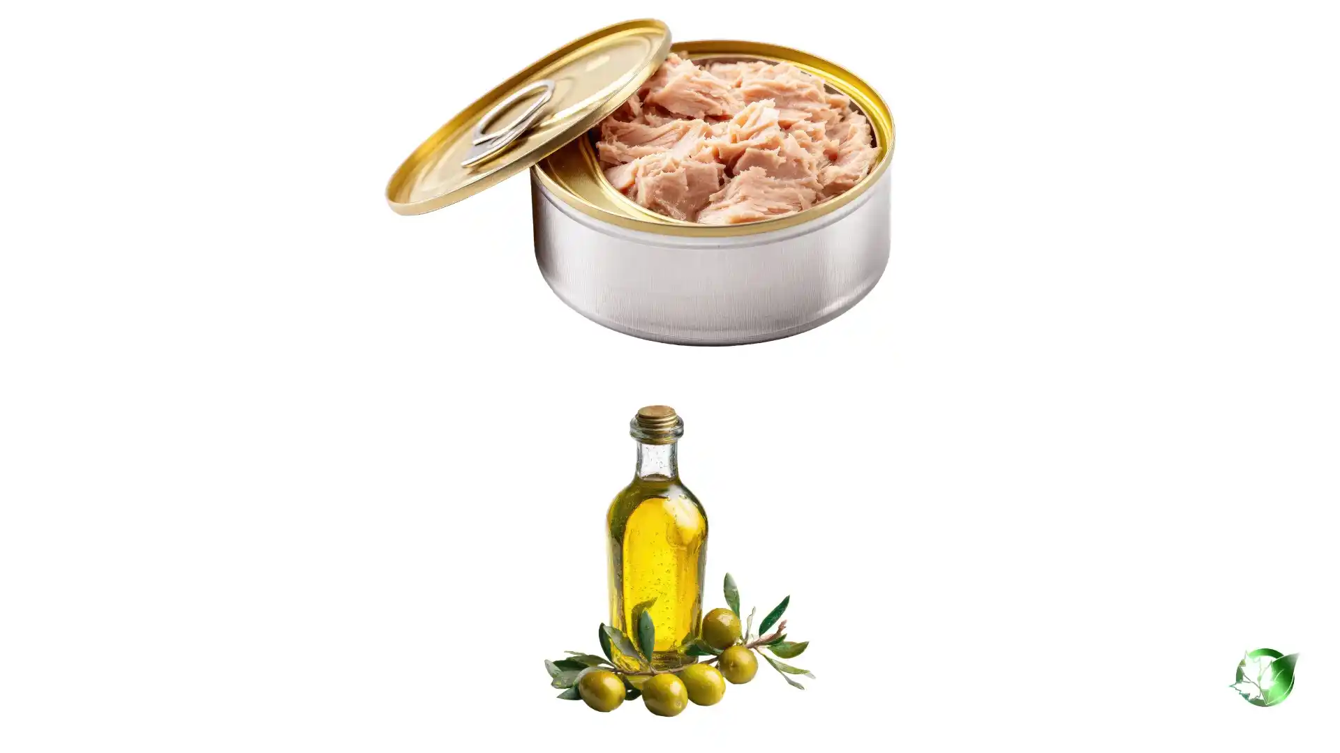Bulk Tuna in Olive Oil | Suppliers | Wholesale | ParsaFood Global